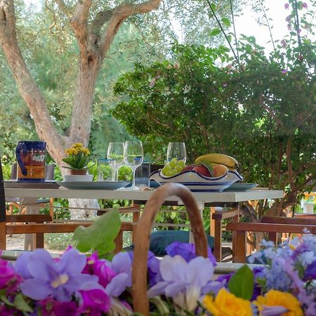 Casa Vacanze Il Bacio Piano di Sorrento Ngoại thất bức ảnh